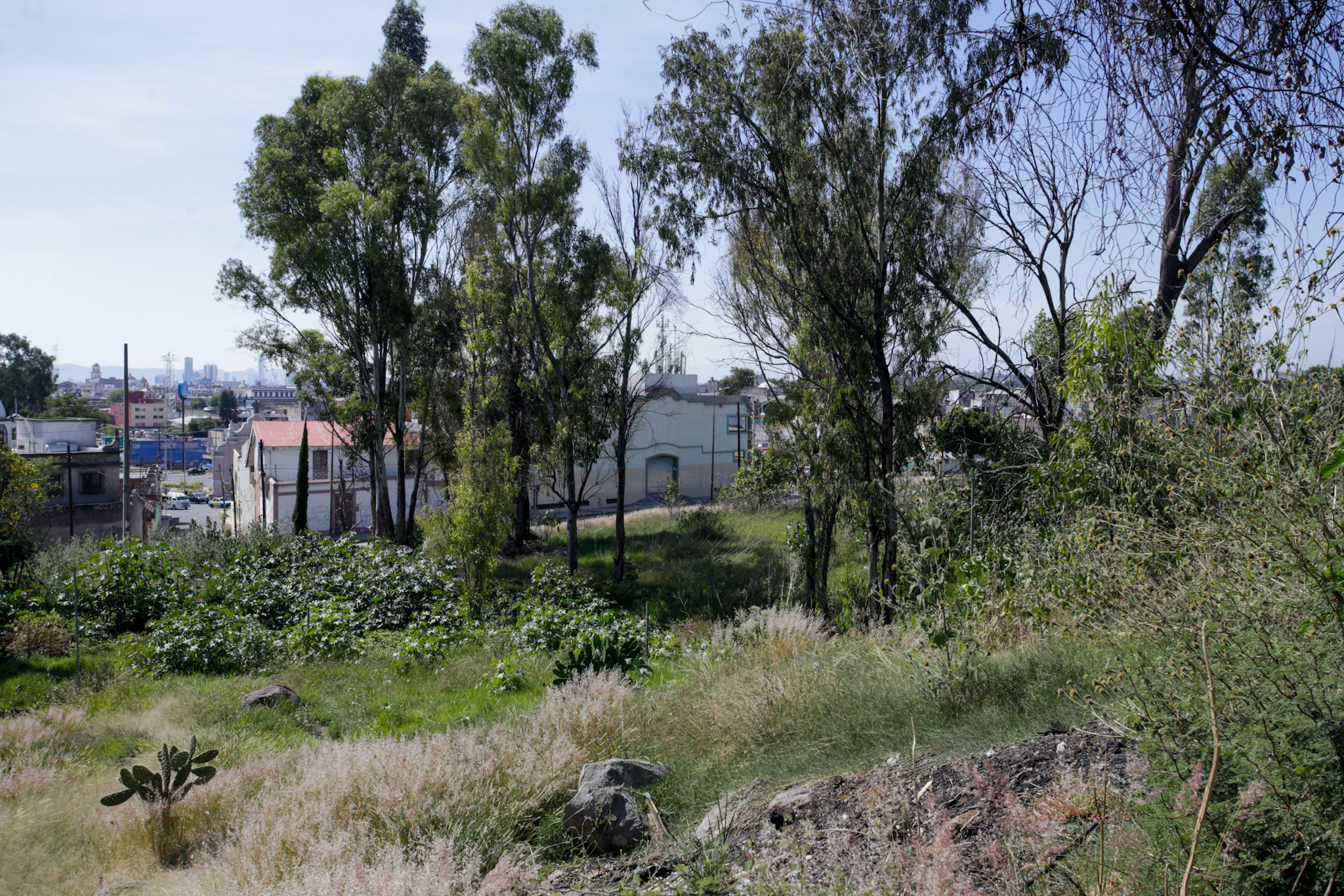 En este terreno construirán la nueva sede el Congreso de Puebla (+FOTOS)