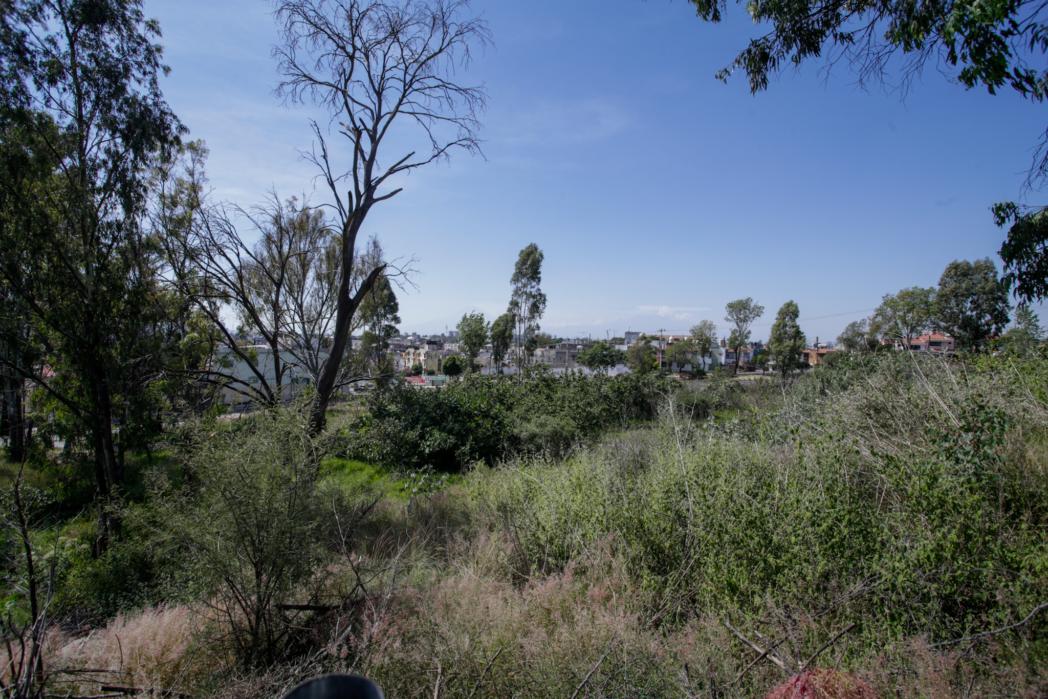 En este terreno construirán la nueva sede el Congreso de Puebla (+FOTOS)